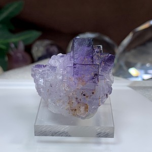 4.結晶美☆透明度あり☆パープルフローライト原石クラスター