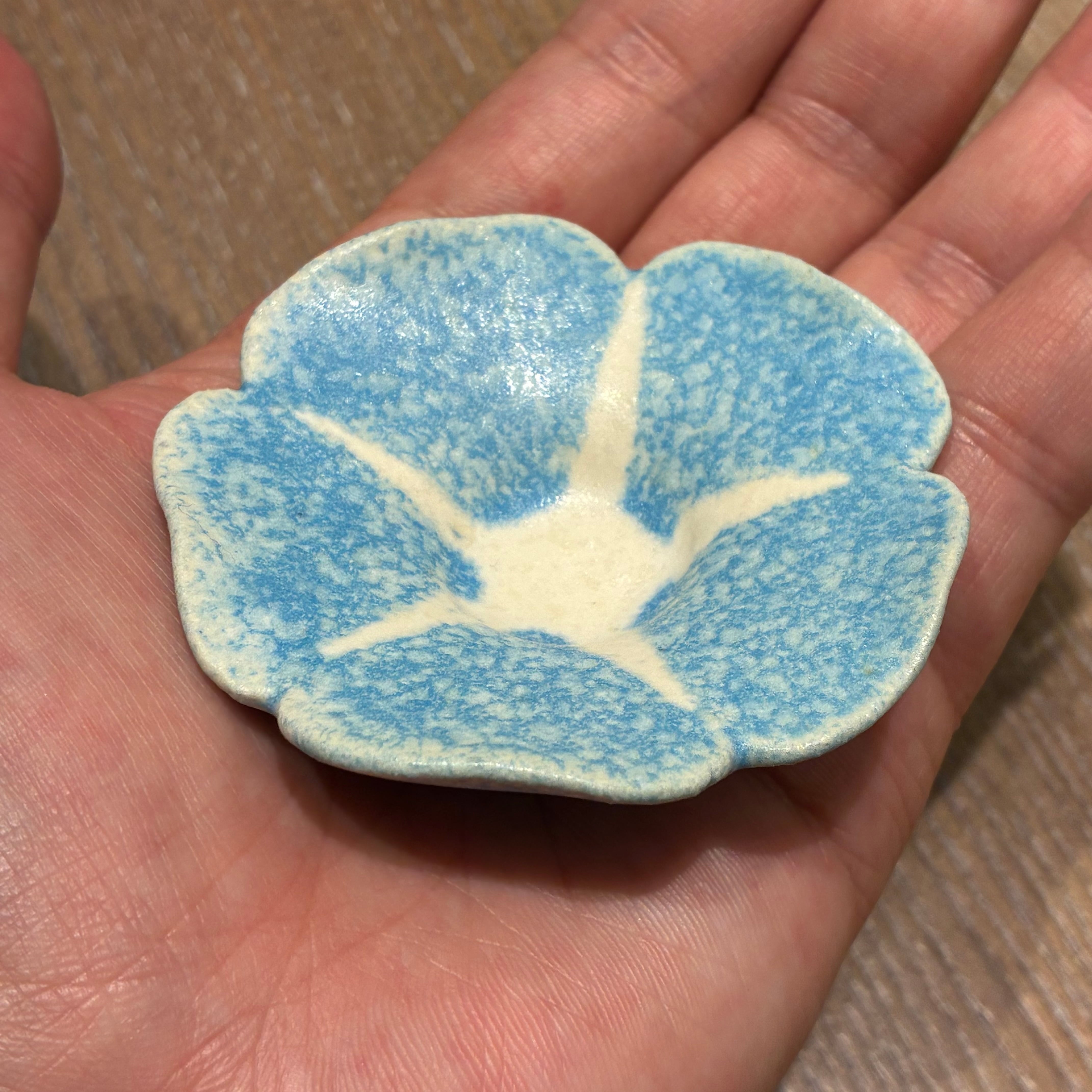 田中恒子　あさがお　小鉢　2色セット　アサガオ　朝顔 26夏】花豆皿 (幅 6 cm) 朝顔 そらのいろ | TSUNE;田中恒子の器
