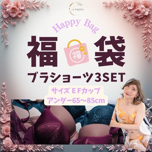 E65M E70M E75L E80L E85LL F65M F70M F75L F80L F85LL 3setおまとめ福袋＼EFサイズ☆／【ブラショーツセット】 大きいサイズ 下着 フリージアE65M E70M E75L E80L E85LL F65M F70M F75L F80L F85LL
