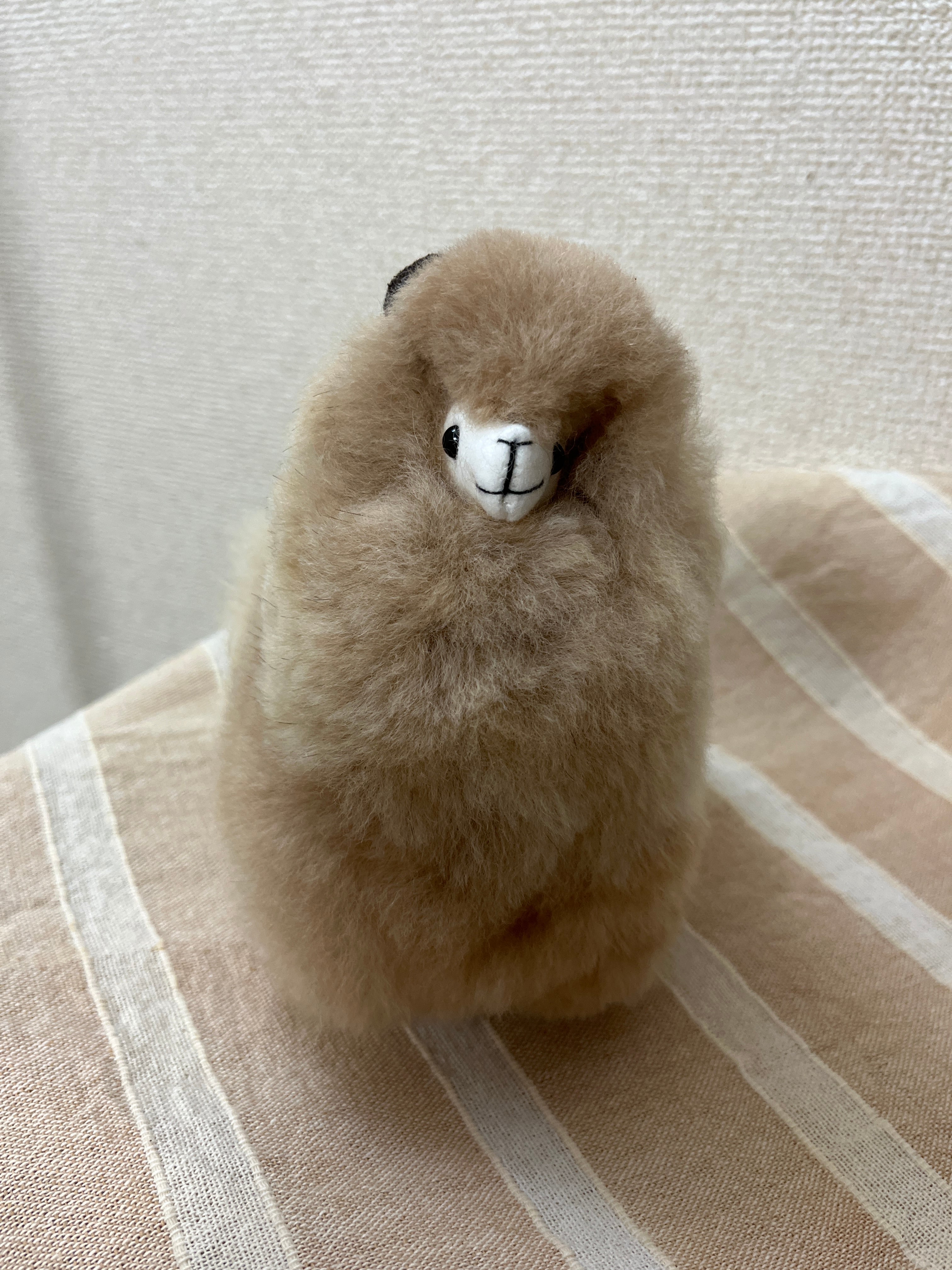 ぬいぐるみ | ALPACA WORLD