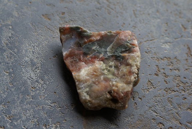 コプロライト ② Dinosaur Coprolites