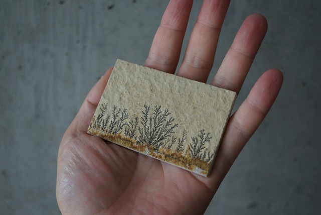 デンドライト 忍石 Dendritic limestone 1508