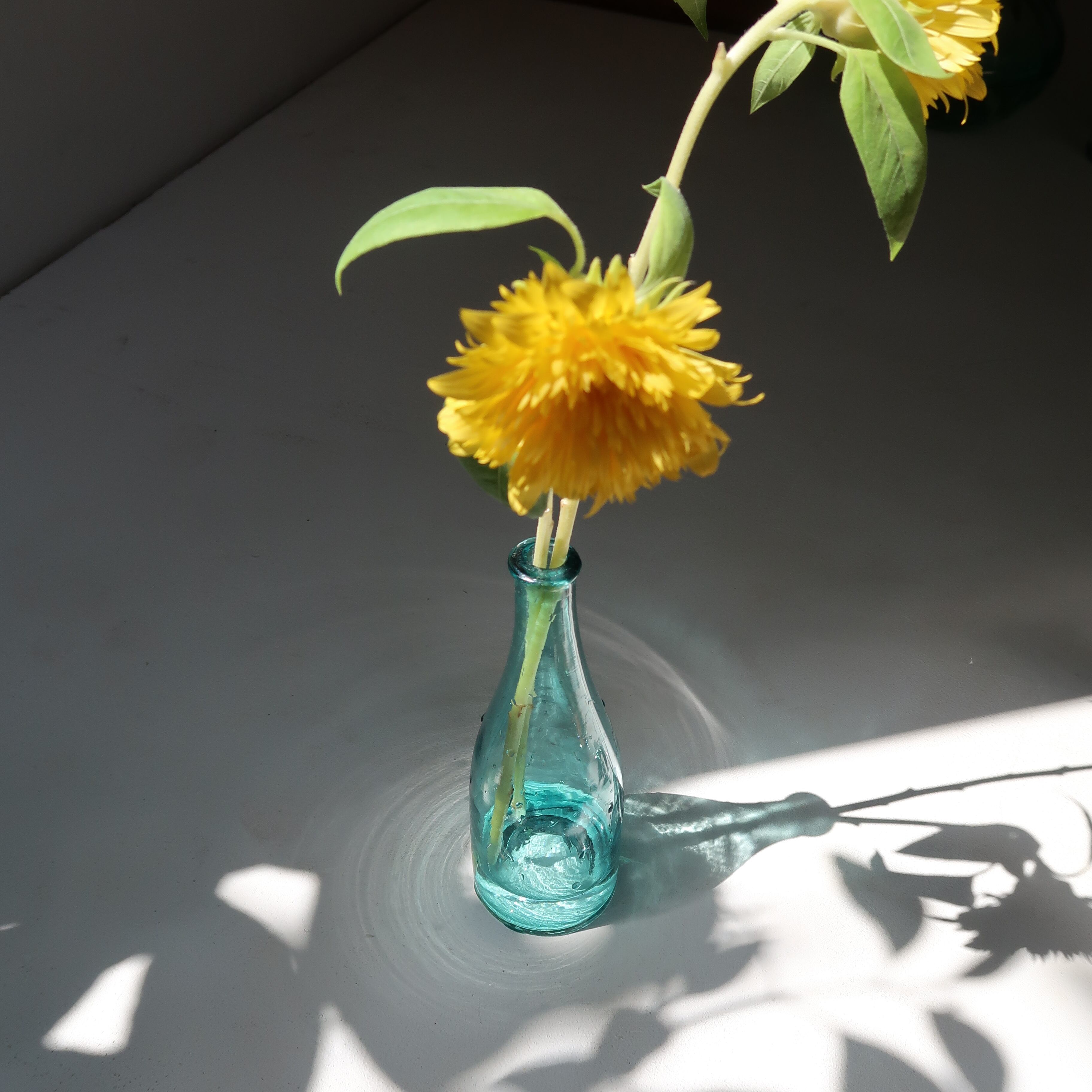 ブルーの空き瓶 | SUISUI