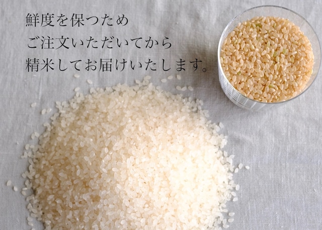 【新米予約購入】ギフト米袋 白米 2kg