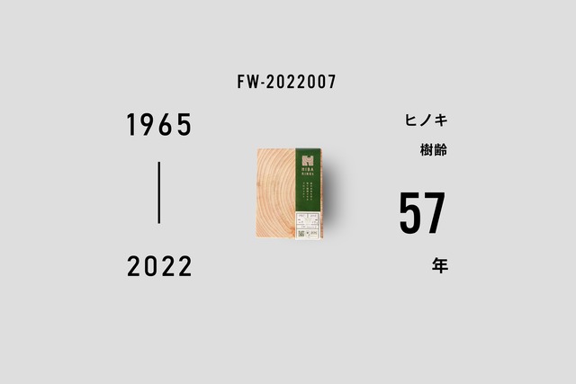 ヒノキ ブックエンドA6 1965-2022