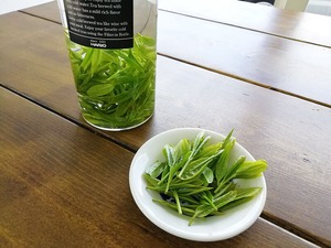 お茶の新芽（生葉）100g　【ヤマト運輸クール便限定】