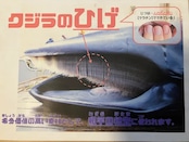 鯨のヒゲのカット材 【30 本セット】