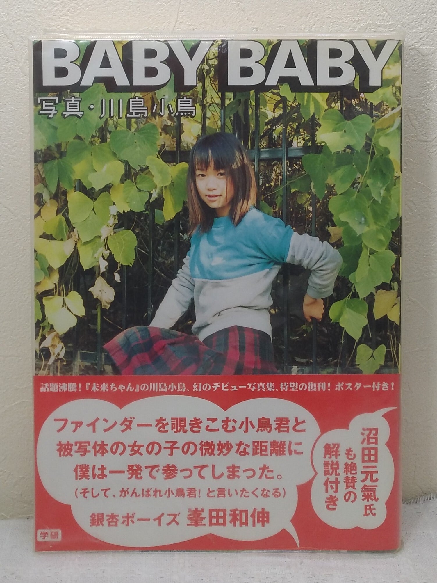 北園克衛 天の手袋 春秋書房 昭和8年 | 札幌の古書店 ビーバーズ 北園克衛 天の手袋 春秋書房 昭和8年 | 札幌の古書店 ビーバーズ