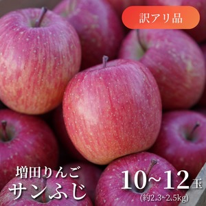 【訳アリ品】細川果樹園の「サンふじ」[10～12玉]秋田県横手市増田町産