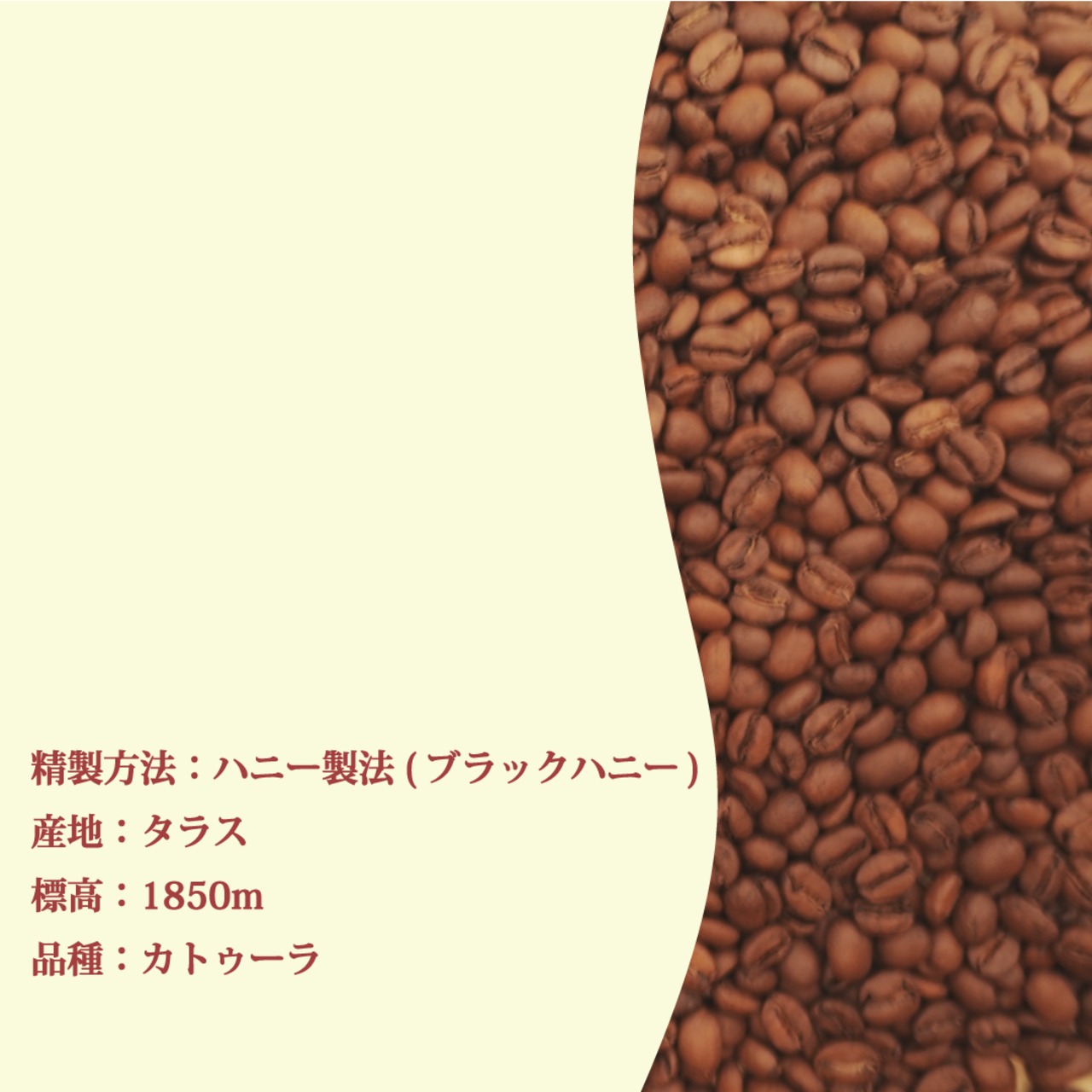 お試しパック 浅煎り コスタリカ 15g