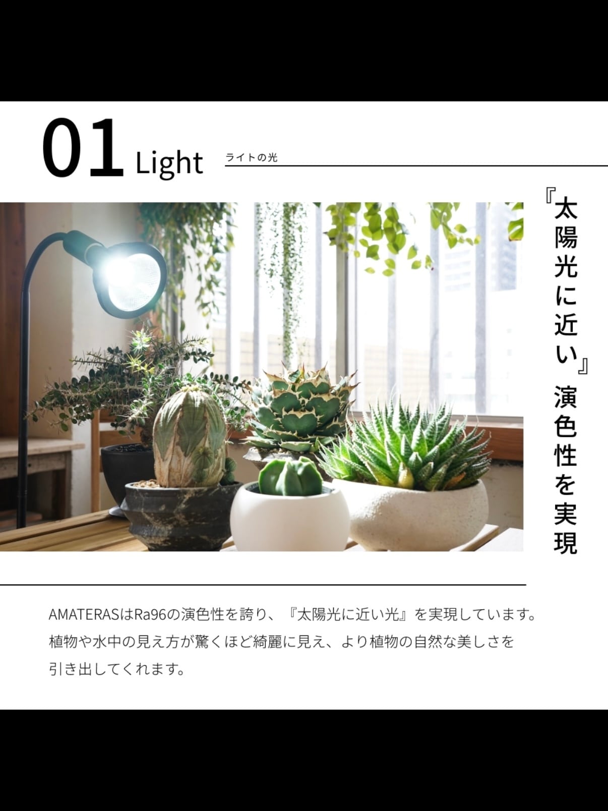 NEO AMATERAS LED 20W | trigger