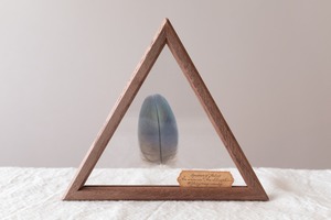 空中標本 大 -ハルクインコンゴウインコの羽