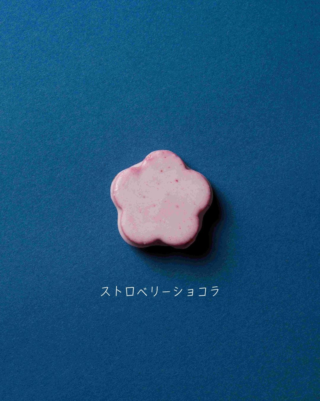 ガトーサブレセット ショコラサブレ(4種) | 積奏バターサンド