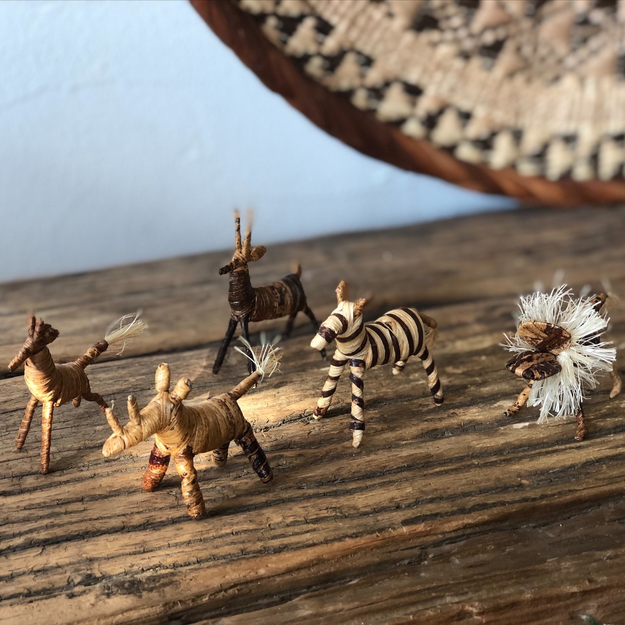 《サイ》バナナの木からできた小さな動物