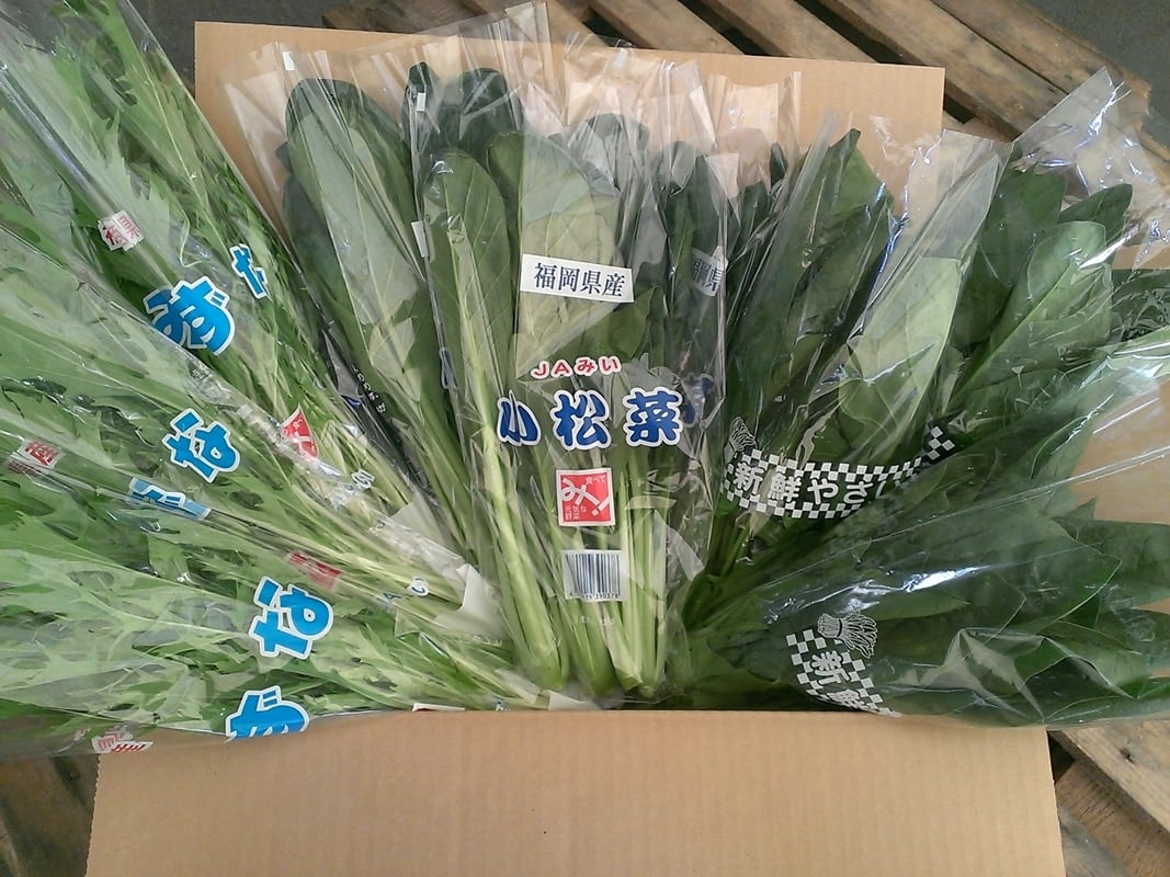 葉物野菜　九州産　Tanaka　詰合せセット　ほうれん草・小松菜・水菜　3品目　Sho-ten