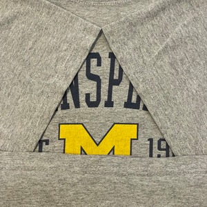 【PERRIN】カレッジ ミシガン大学 アーチロゴ Tシャツ University of Michigan Lサイズ US古着 アメリカ古着