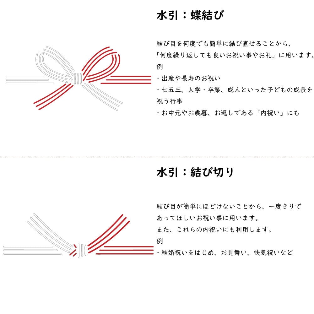 お名前入れします】御祝 熨斗 のし 蝶結び A4 掛け紙 10枚 名入れ無料