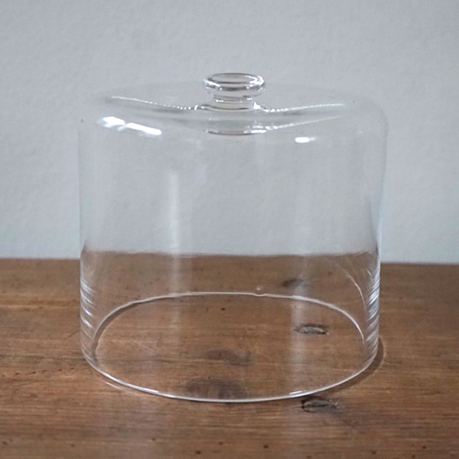 津村里佳　ガラスドームM 津村里佳 大きいドーム | O'KEEFFE FURNITURE