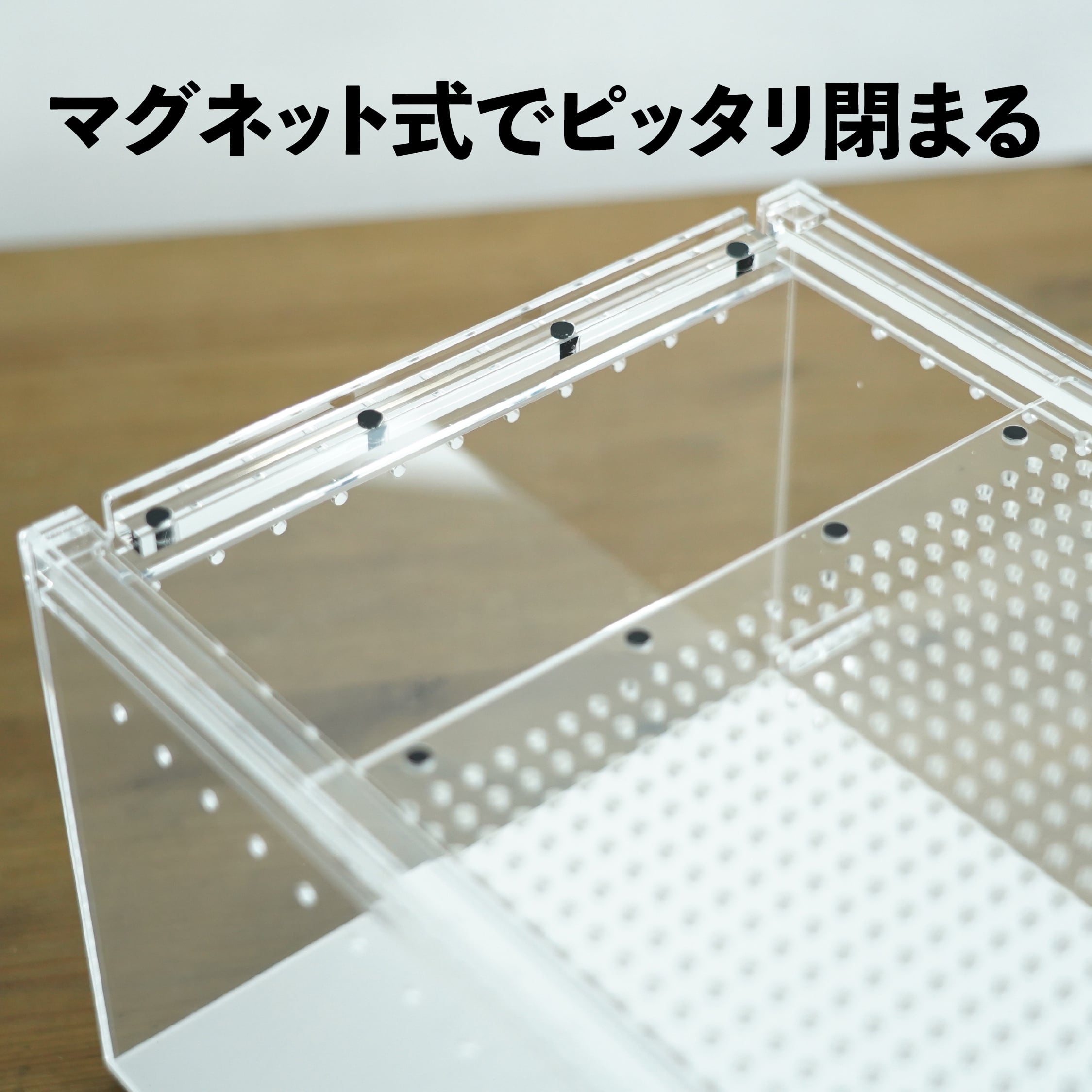 アクリル容器】レプタイルボックス（200x300xh155mm）◇生き物