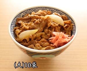 牛丼の具(大)１０袋【冷凍】