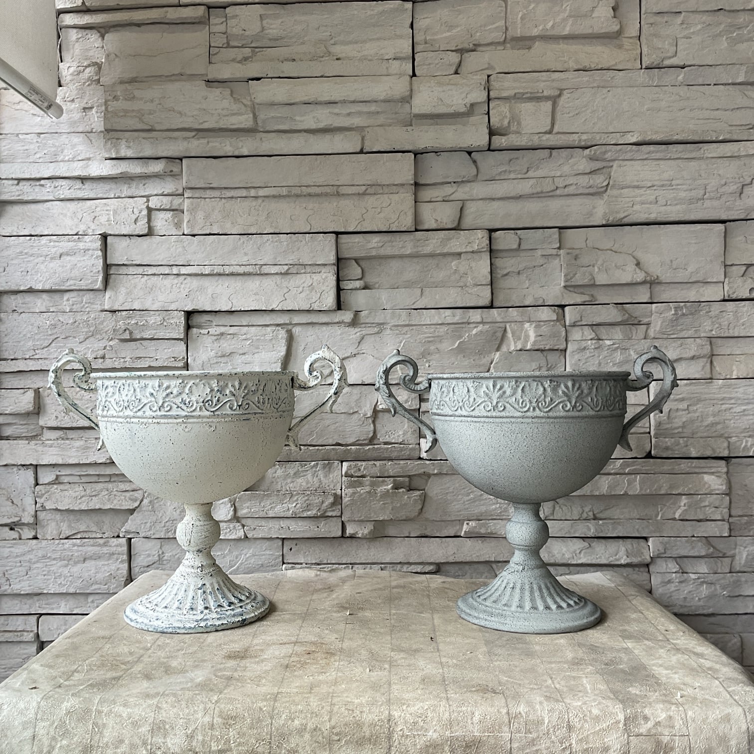 William Morris ウィリアムモリス マリーゴールド M 直径20cm | 橋本種苗園 William Morris ウィリアムモリス マリーゴールド M 直径20cm | 橋本種苗園