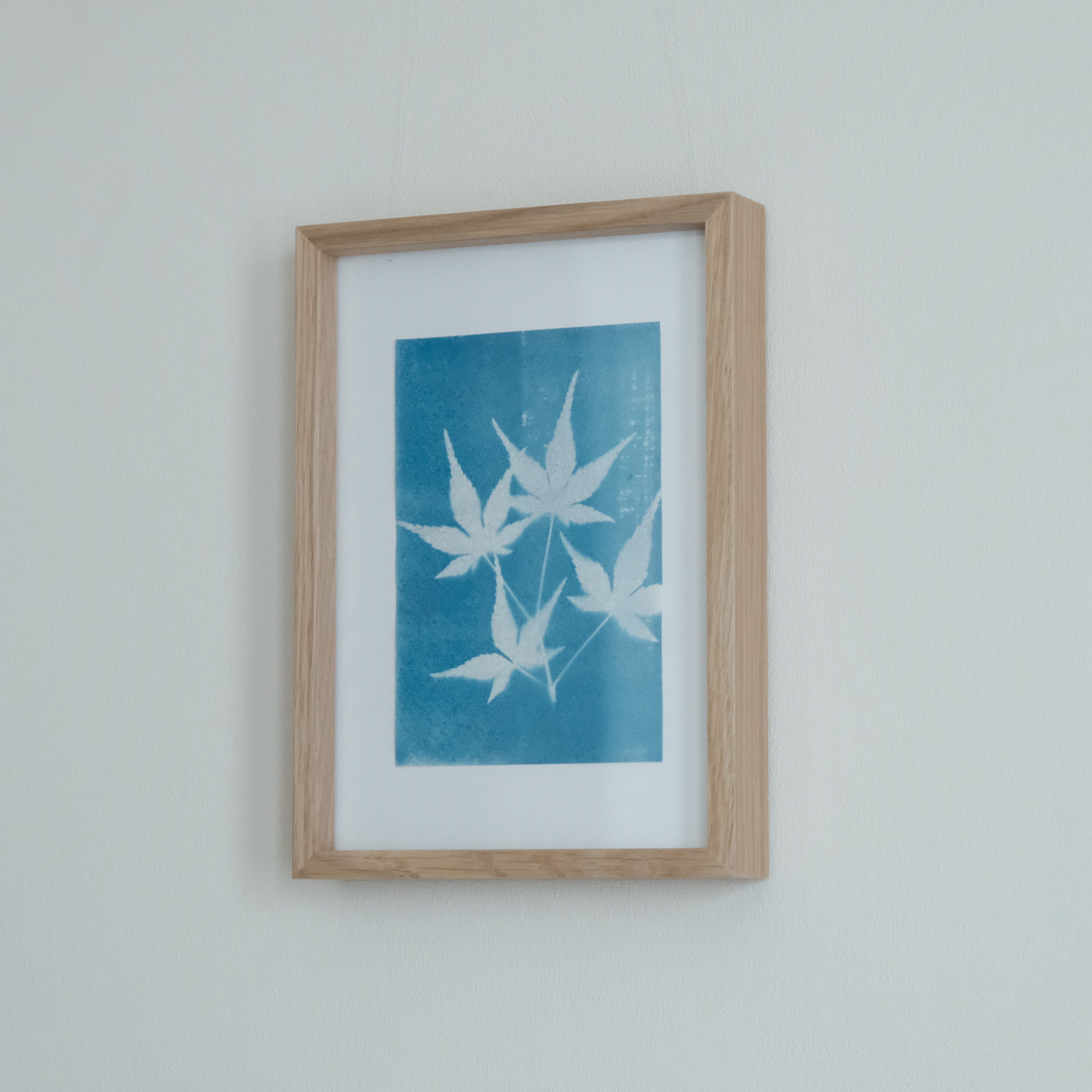 植物の青写真　cyanotype #4