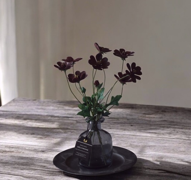◆粘土のお花◆　チョコレートコスモス・・・T1079