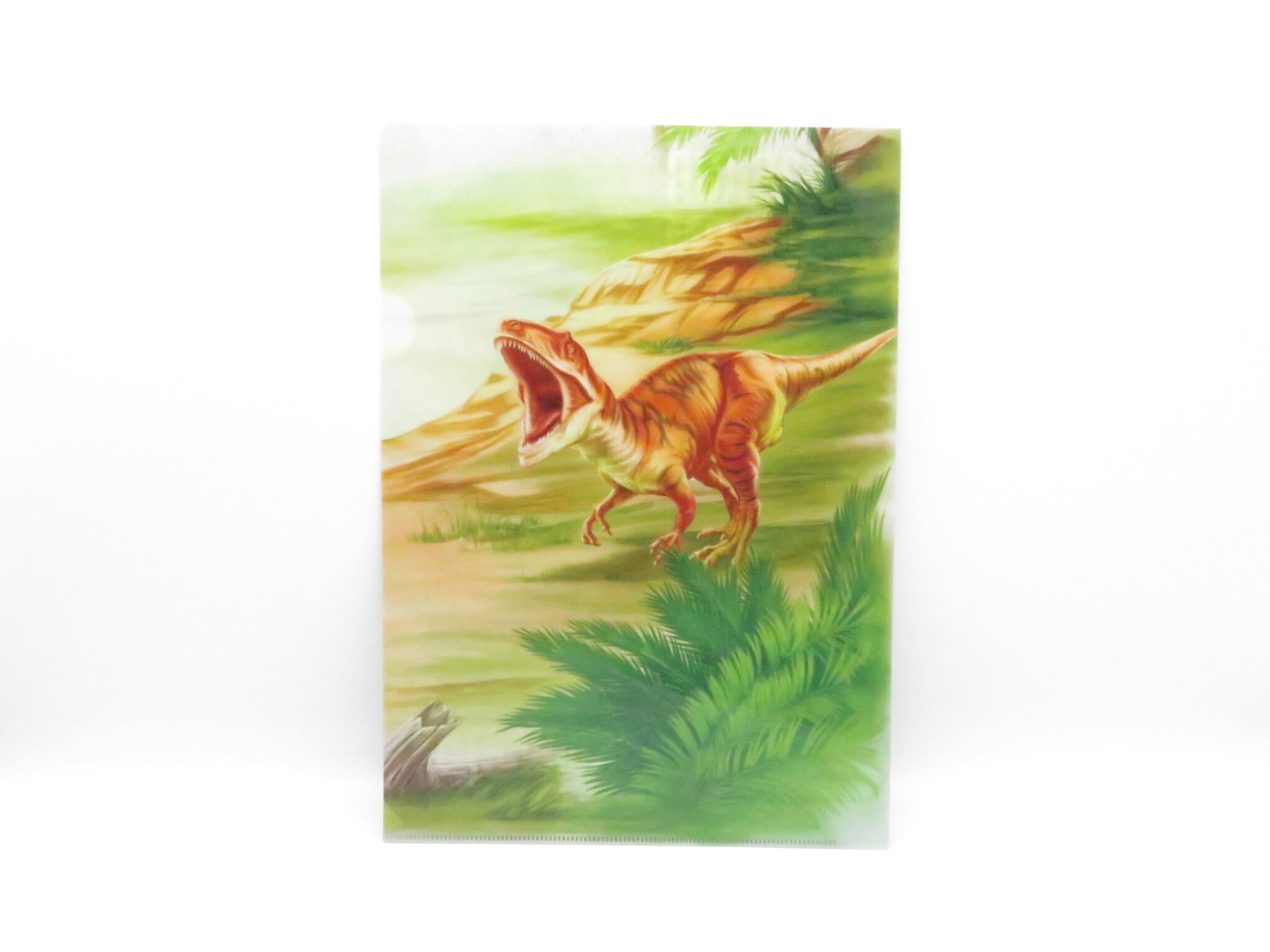 恐竜クリアファイル6枚セット | 福井勝山お土産オンラインショップ