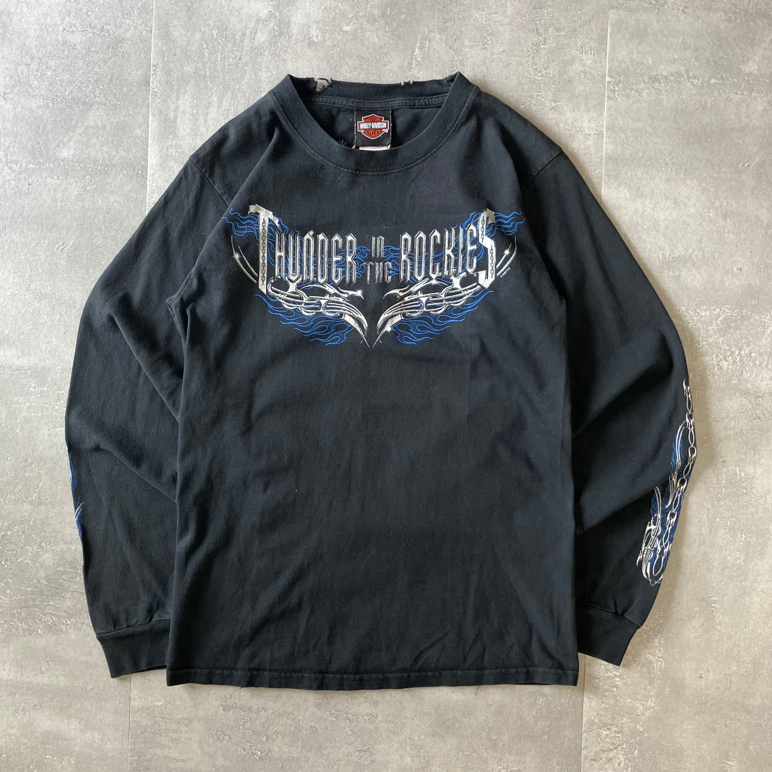 Harley-Davidson ハーレーダビッドソン 00s ロングスリーブTee 両面プリント S No.2111