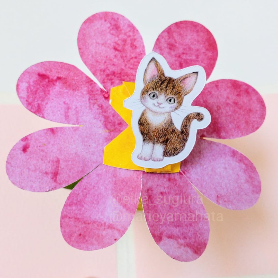 じゃれねこ 薔薇 5ペアセット フリル 不思議の国のアリス 【公式通販】