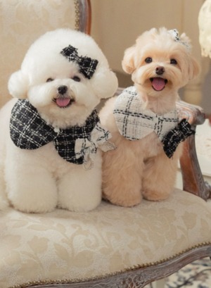 予約【pecoramou select】Tweed check cape（White）