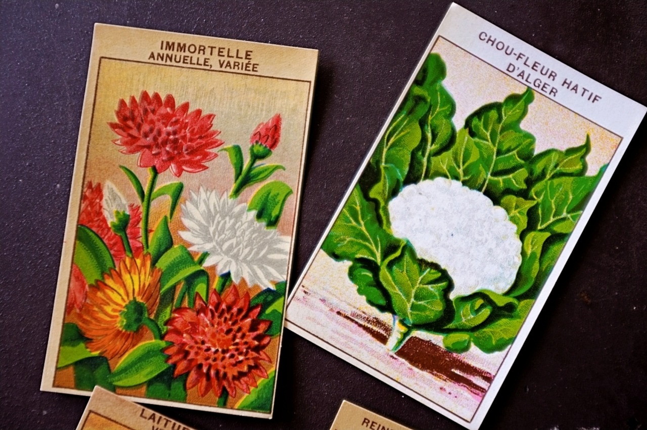 20s フランス 4set 膨満な花々と野菜たち 種子袋用ラベルg アンティーク