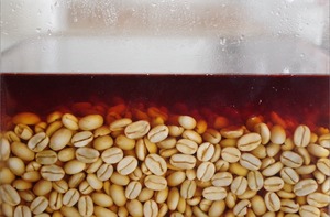 コーヒー豆をラムブレンドに変更