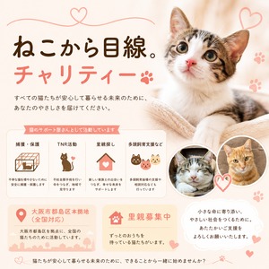 保護猫チャリティー|ねこから目線。
