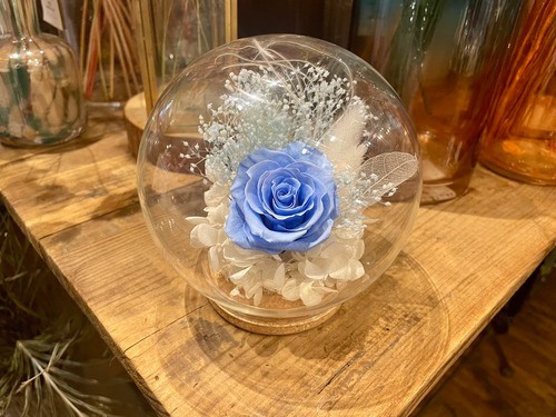 Rose Voilēe【ソーダブルー】