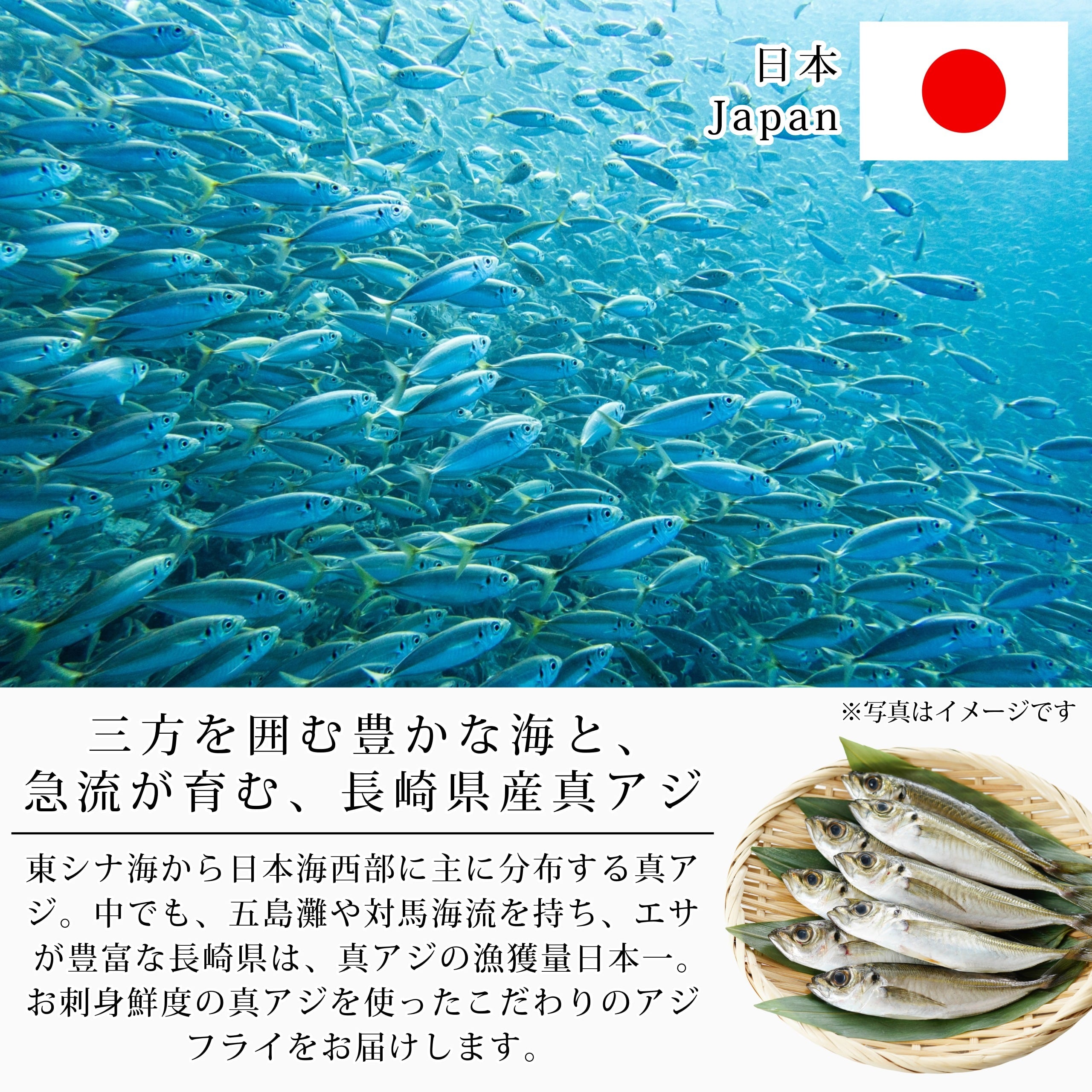 国産 骨取り アジフライ フィレ 10枚(約350-400g) 長崎 冷凍 お刺身