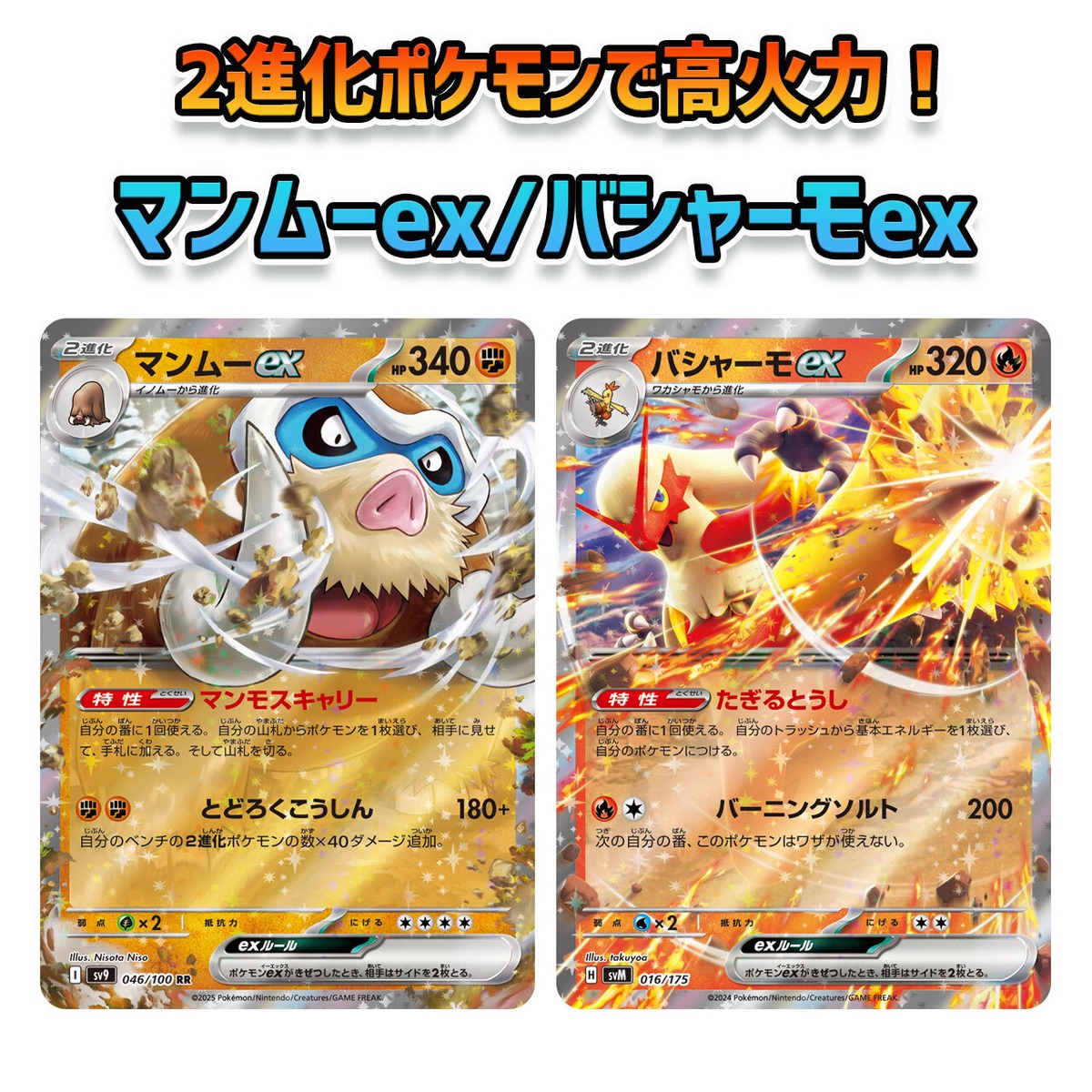 新レギュレーション対応済み マンムーex/バシャーモex Fレギュ無し 