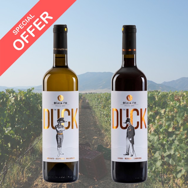 Duck Series Wine Duo (Red & White) – Special Offer
