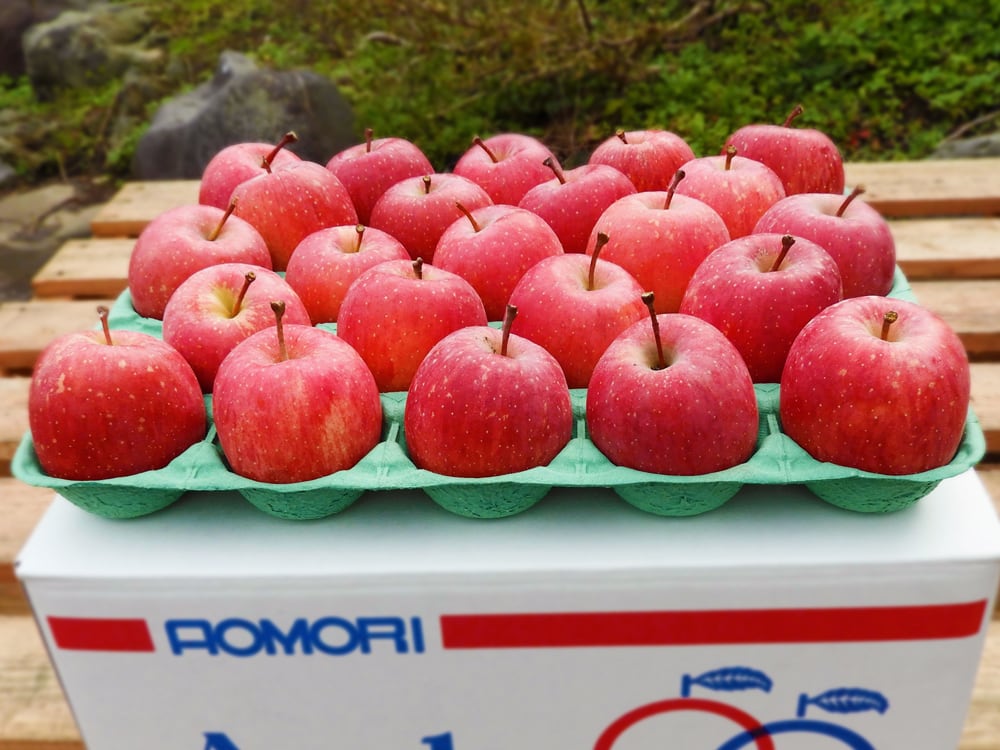 家庭用】りんご 1段（サンふじ） | 西田りんご園
