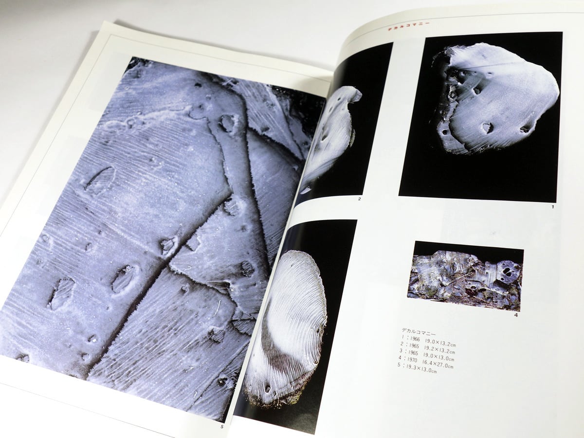 太陽「特集：瀧口修造のミクロコスモス」- 1993年 4月号 No.382