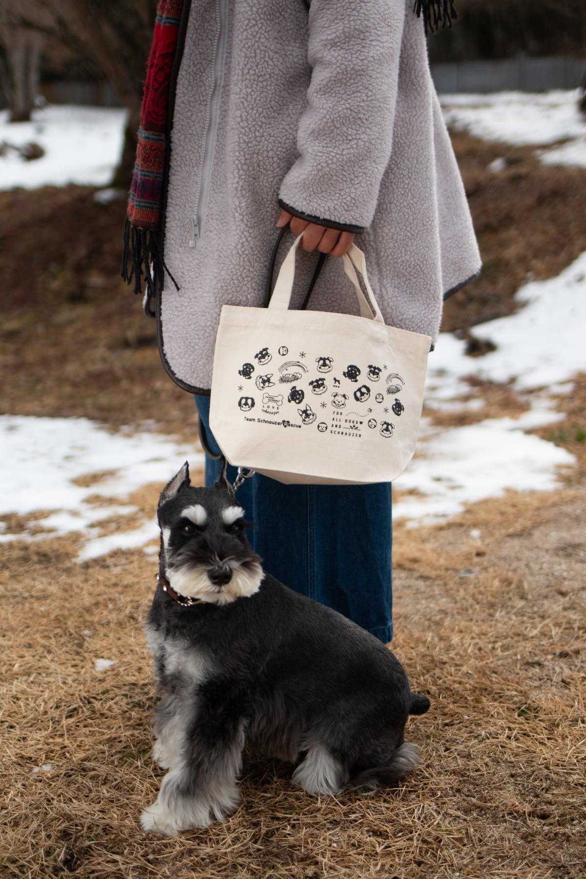 チームシュナウザーレスキュー（TSR）