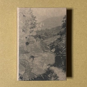 Bålsam - Soñador [CASSETTE]（Le Mont Analogue）
