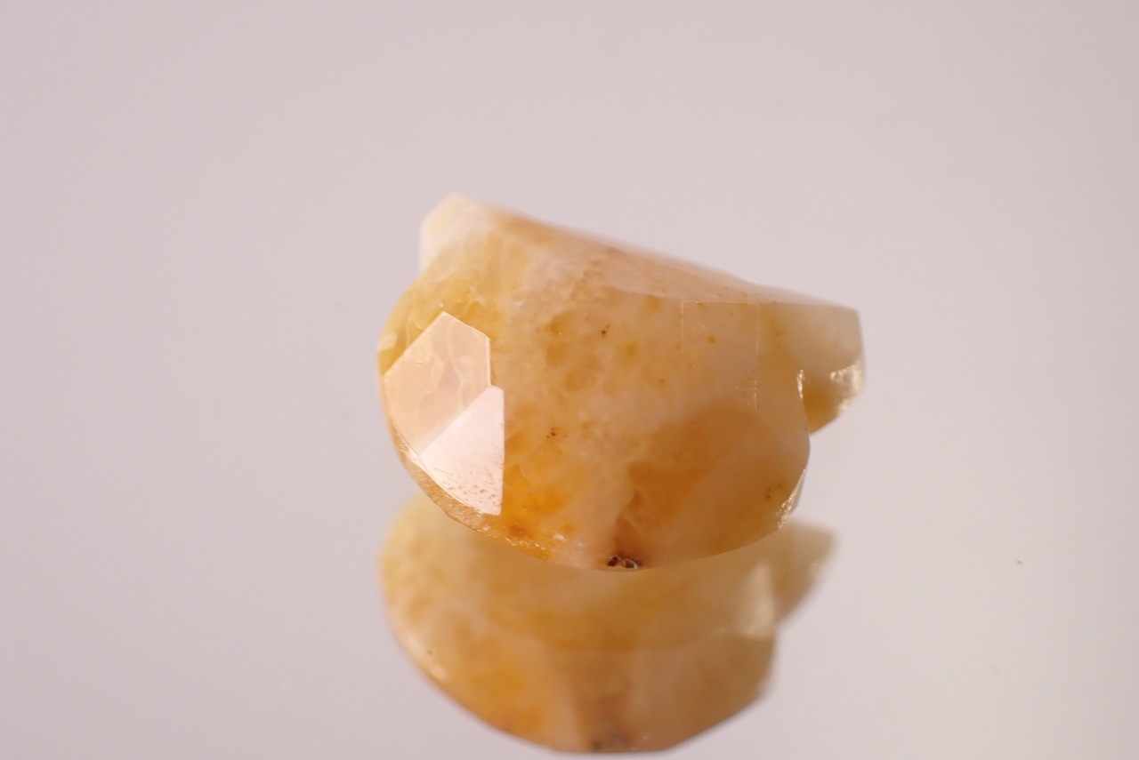 フォッシルコーラル(猫カット)　1.51ct　[D11‐569]