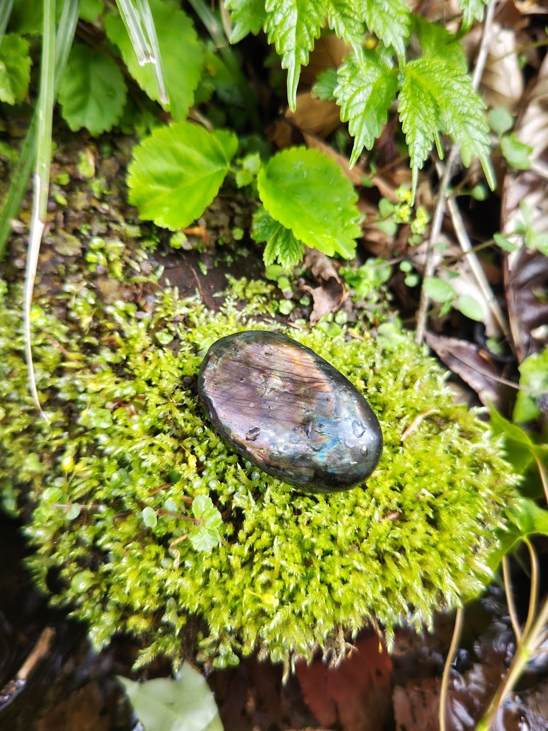 ラブラドライト｜「月と太陽＝陰と陽」のエネルギーを持つ石 | 日賀