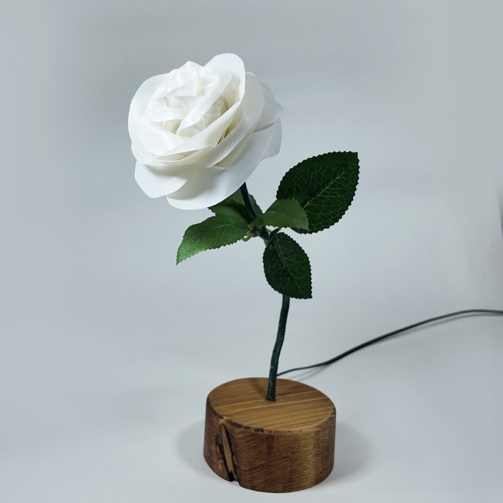 Natural style - Brown Base White | HANA-LUX ハナルクス