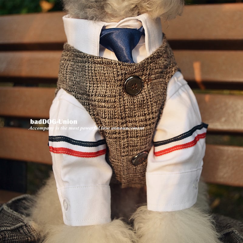 プリンスジェントル・ベスト&ジャケット 00550