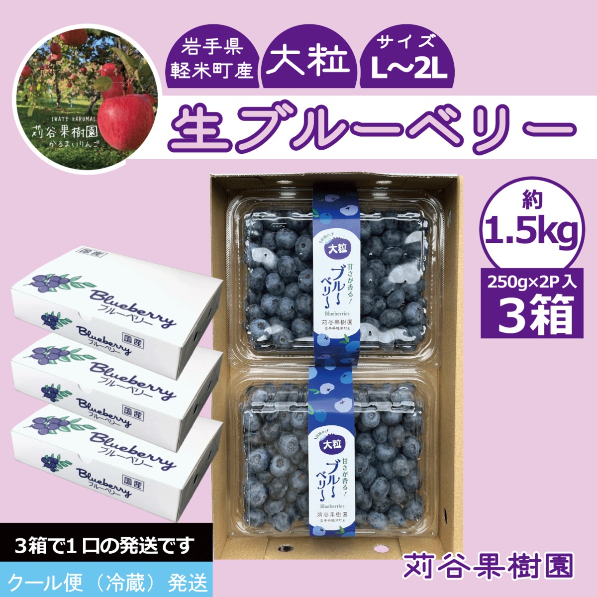 ブルーベリー1.5kg ×3箱クール便 食品 ブルーベリー1.5kg クール便3箱