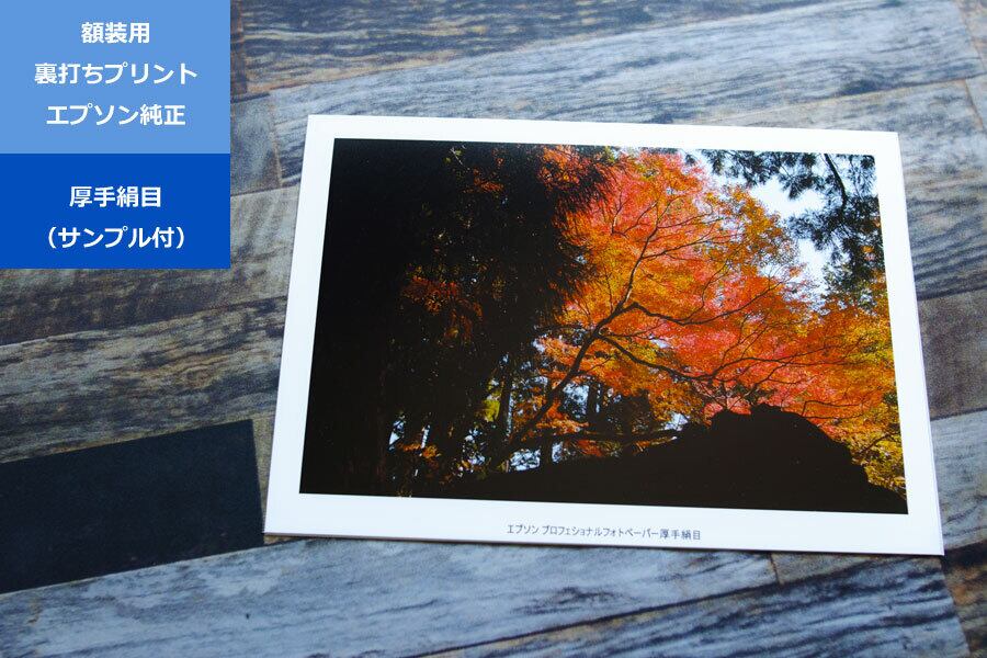 絹目／全倍・A1（サンプル付）］額装用裏打ちプリント | mikumanostyle