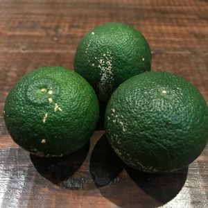 本場徳島・山のすだち 1kg/9月上旬頃から発送開始