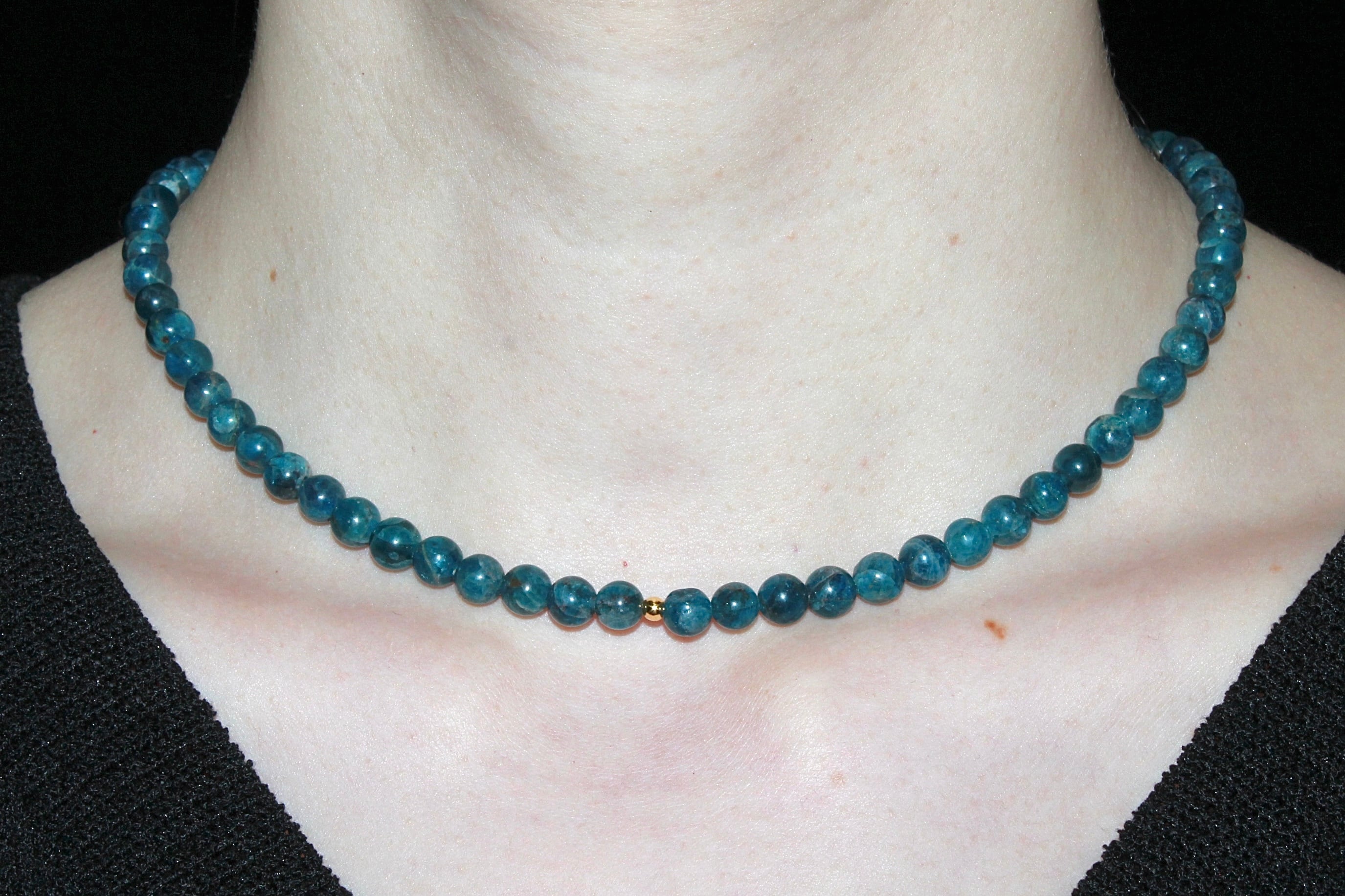 Blue collection | tigre